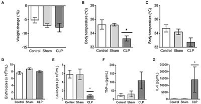 Cecal Ligation and Puncture-Induced Sepsis Promotes Brown Adipose Tissue Inflammation Without Any Impact on Expression of Thermogenic-Related Genes